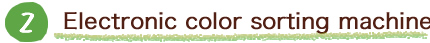 Electronic color sorting machine