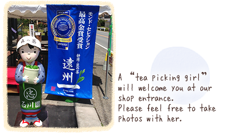 A "tea picking girl" will welcome you at our shop entrance.Please feel free to take photos with her.
